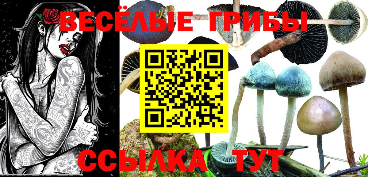 Псилоцибиновые грибы GOLDEN TEACHER Лесосибирск