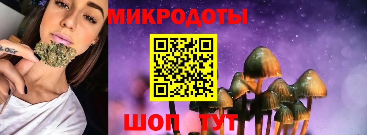 Псилоцибиновые грибы мицелий  Вход с VPN  Лесосибирск 